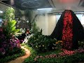 efg orchids exhibit at the world orchid confrence