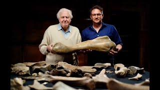 Mammoths LIVE! with Prof Ben Garrod