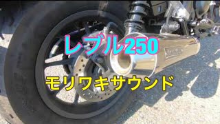 (再撮影)レブル250とモリワキマフラー