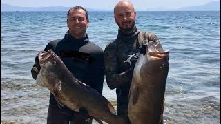 🔱Megas-Theodorou sub🔱The movie 🍿#spearfishing