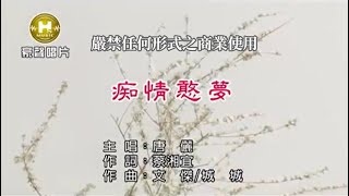 唐儷-痴情憨夢【KTV導唱字幕】