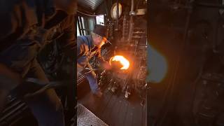 This man works on a steam train