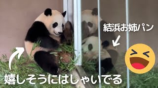 【速報】はしゃぐ楓浜が可愛すぎる😍結浜は冷静..😂扉越しに遊ぶパンダ姉妹🐼