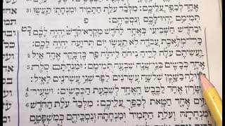 Maftir Reading for Rosh HaShana