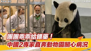 團團乖乖給餵藥！中國2專家直奔動物園關心病況｜三立新聞網 SETN.com