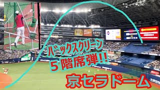 【WBC2023】大谷翔平５階席弾連発！京セラＤが揺れるｗ現地映像まとめ（2023.3.7 強化試合バッティング練習 侍ジャパン vs 阪神）