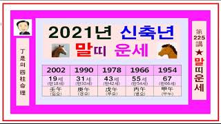 2021년 말띠 운세- 정시의 사주명리225강-신축년 2021년 말띠운세입니다.