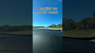 Beautiful  day in Tampa