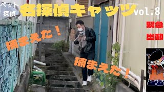 ペット探偵名探偵キャッツ、迷い猫、ペット探偵自ら抱き上げ、見事に保護できた緊迫の保護動画。