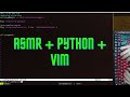 ASMR Programming - building nvim as python IDE - no talking