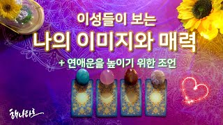 [타로] 이성들이 보는 나의 매력🔮🌻