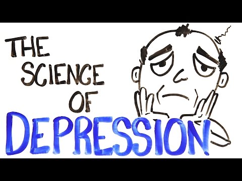The Science of Depression The Science of Depression