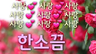 사랑한소끔-김나현