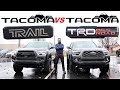 2023 Toyota Tacoma Trail Edition VS 2023 Toyota Tacoma TRD Off-Road: Which Is Best?