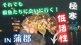 【ライトゲーム】超極寒&低活性　それでも根魚たちに会いに行く！