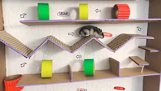 🐹 Awesome Hamster Maze with Obstacle Course
