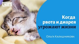 Как понять, когда рвота и диарея угрожает жизни