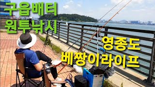 5월 영종도 구읍뱃터 원투낚시 / 애기고기들만 폭풍입질/#인천 #fishing