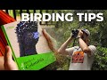 How to Prepare for a Birding Trip to a New Location | Cheep!