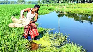 Village Fisherman Catch Very Fish-Amazing Net Fishing-Traditional Net Fishing- #fishing Unique _fish