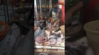 Vangiram Fish slice per kg 800 rs at Chintadripet Fish market,Chennai #Top6tamil