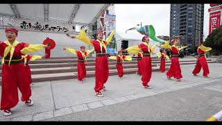 上町よさこい鳴子連   高知龍馬マラソン２０２５　前日イベント中央公園　４ｋ