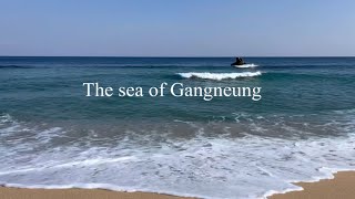 물멍하기 딱 좋은, 직접 찍은 강릉바다🌊 ㅣ The sea of Gangneung 🌊