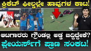 Animals Attack In Cricket Ground | ಹಂದಿ ಬಿಟ್ಟ ಆಸ್ಟ್ರೇಲಿಯನ್ಸ್ | Rare Moments In cricket | Suddiyaana