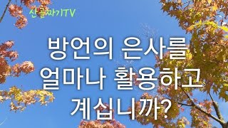 방언, 이제는 활용하자/시골목사의 생각