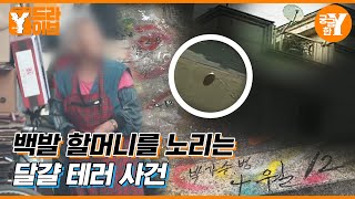 🥚달걀 테러 사건, 할머니를 노리는 테러범의 정체는 | Y드라이브