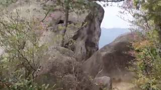 大黒山の山頂風景　岩国市周東町