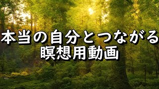 瞑想用動画