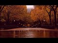 Music Nectar | Relaxing Rain Sounds: Rain Meditation, Sleep and Relaxation