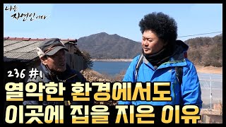 [자연인] 열악한 환경에서도 자연인이 이곳에 집을 지어야만 했던 이유 (#1/5)