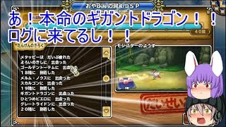 「DQモンパレ実況」ゆっくり達の最強パレード育成日記　468ページ目　ギガントドラゴン狙いのしもふり探検に今週の更新された内容