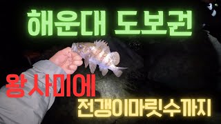 #부산도보낚시 #해운대짬낚 왕사미에 전갱이마릿수까지 즐기는곳