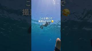 綺麗な水中動画の撮影風景...😁#gopro  #沖縄 #海 #shorts