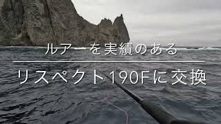 ワンダーツアー孫島2025/1/25(小笠原諸島父島)