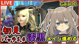 【FF14/視聴者参加型】初見でFF14　漆黒メインクエ進める【Vtuber】