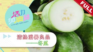 活力加油站 Living Delight (2023) | 2023年6月15日: 清热消暑良品——冬瓜