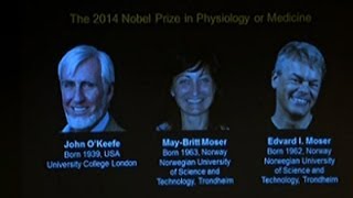 Brain Scientists Win Nobel for Medicine