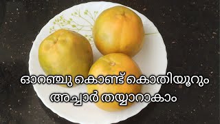 How To Make Orange Pickle /ഓറഞ്ച് കൊണ്ടൊരു സിമ്പിൾ അച്ചാർ ഉണ്ടാക്കി നോക്കു /AMMAYEES CORNER