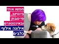 למה הכלב מפריע בזמן יחסי מין *מבצע דוגיזן וplay dead* אילונה אילוף כלבים