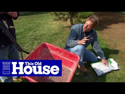 How to Revive a Brown Lawn How to Revive a Brown Lawn