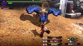 [MHXXNS] 闘技大会 ホロロホルル大剣　ソロS