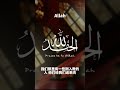 以安拉之名 古兰经 穆罕默德 allah islam kuran