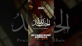 以安拉之名#古兰经 #穆罕默德 #allah #islam #kuran