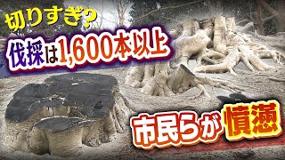 【伐採は1600本以上】「切りすぎでは？」城跡がある公園で樹木を相次いで伐採...地域住民は中止を訴え　兵庫県は今後も伐採を継続【徹底取材憤マン】(2022年3月21日)