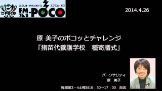 【福島ひまわり里親プロジェクト】原美子　ポコッとチャレンジ2014.4.26