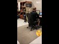 The chair got outta there!! 🤣 #funny #scare #prank #work #office